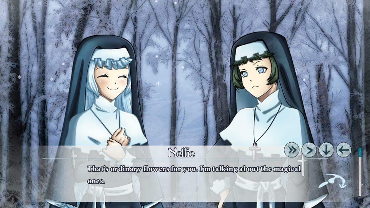 The Snowdrop Diaries screenshot 5