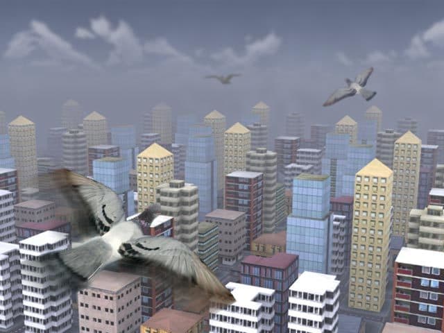 Fly Like A Bird 3