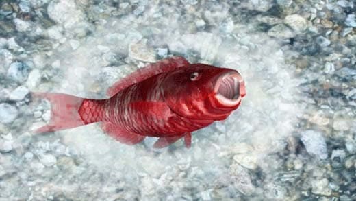 Reel Fishing Ocean Challenge