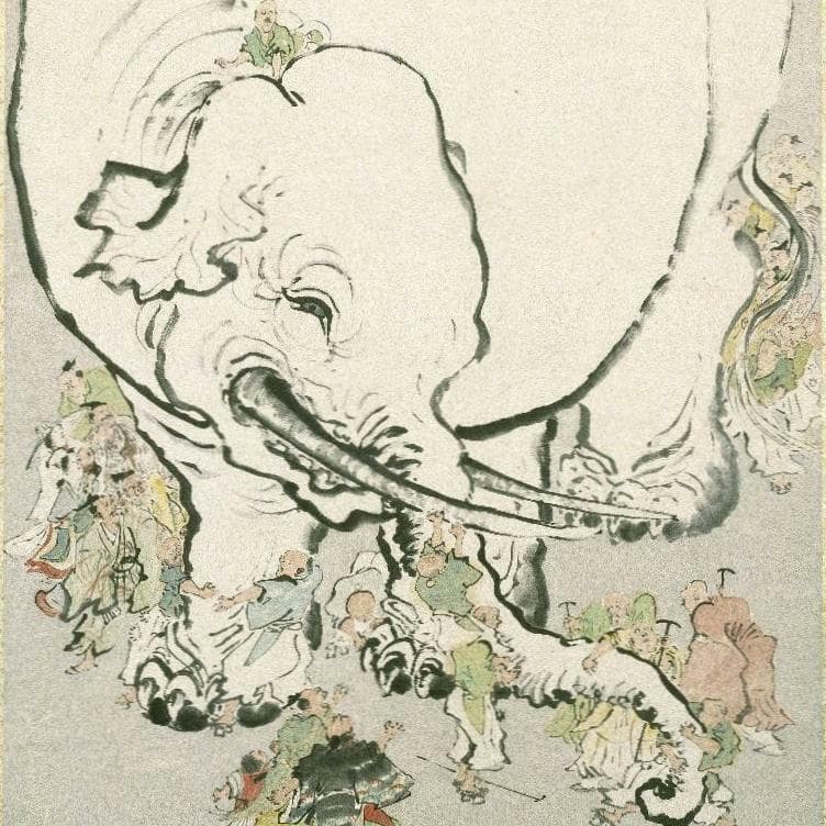 Escape the Elephant in the Room