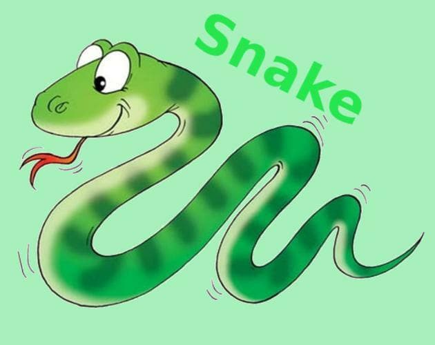 Snake and Colors