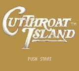 Cutthroat Island screenshot 4