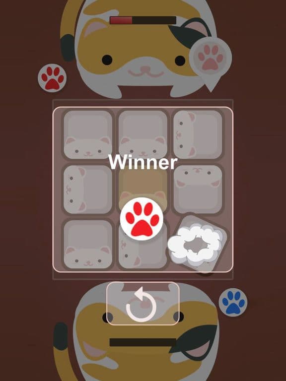 Face-to-face cats