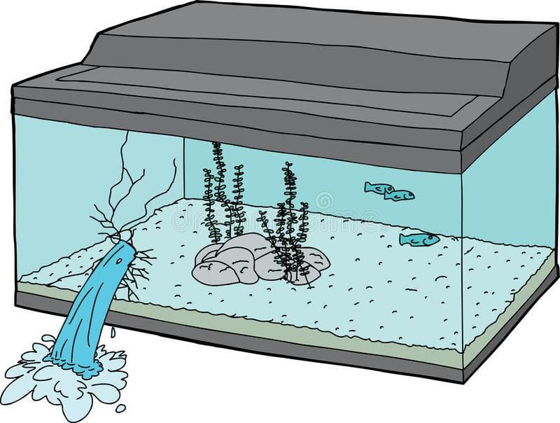 b2 aquarium rip-off