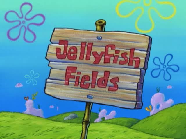 Jellyfish Fields