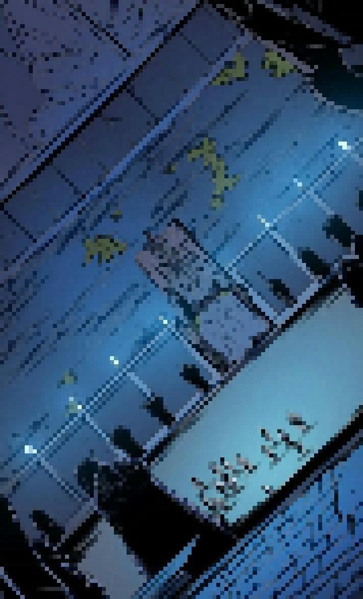 Echoes of Insanity: The Enigma