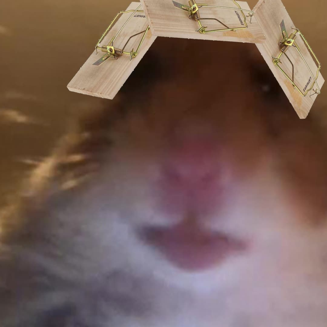 Mouse Trap VR