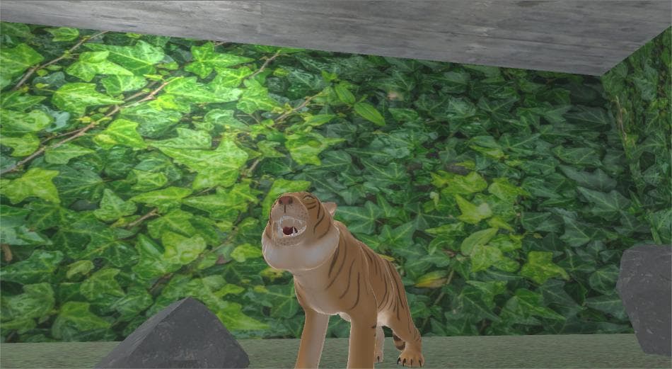 The Tiger Exhibit