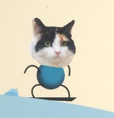 Meeko Kittys Downhill Adventure!