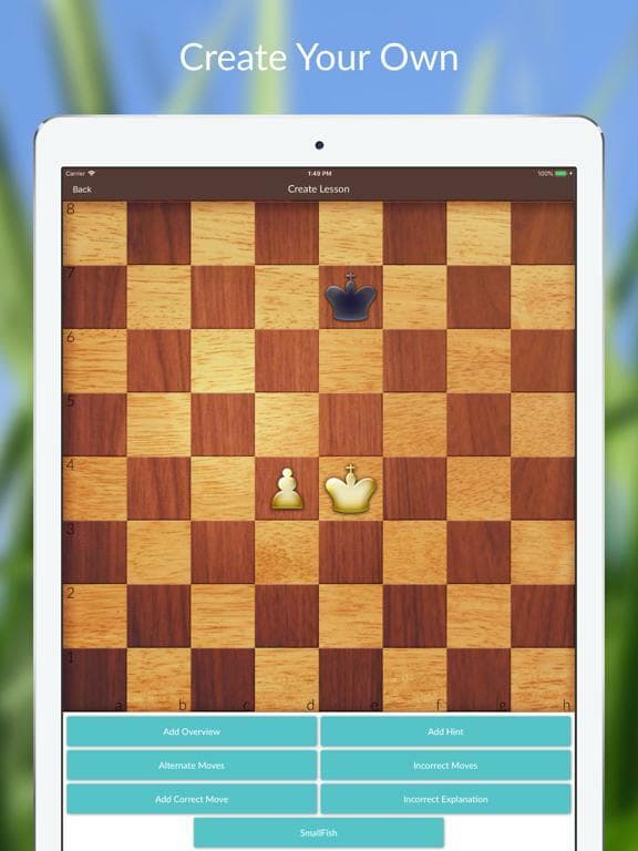 Chess Tactics and Lessons screenshot 3
