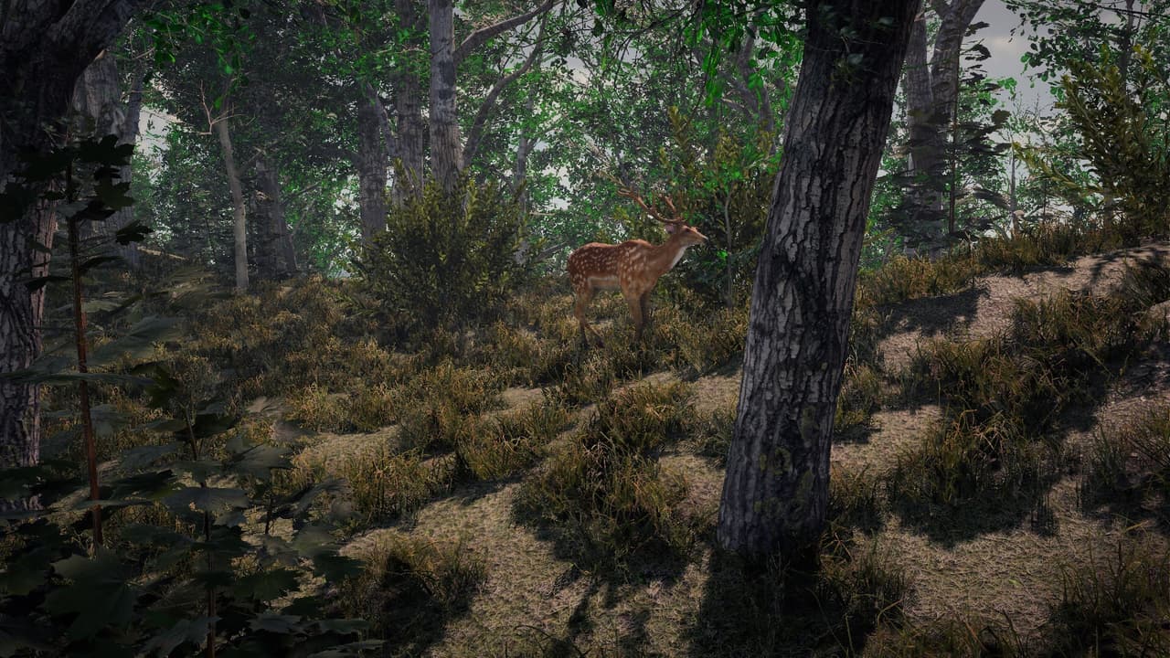Nature Tech Demo screenshot 2