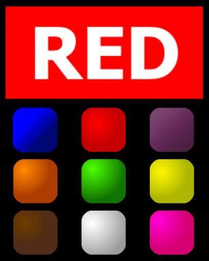 Toddler Colors