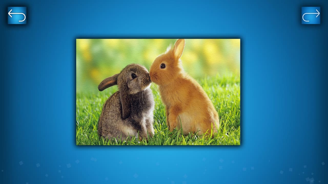 PUZZLE: ANIMALS screenshot 3