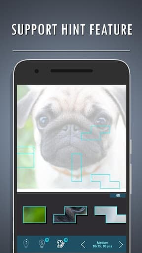 Photo Block Puzzle for FREE: Infinite stage screenshot 4