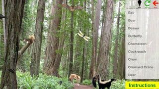 Animal Discovery screenshot 5