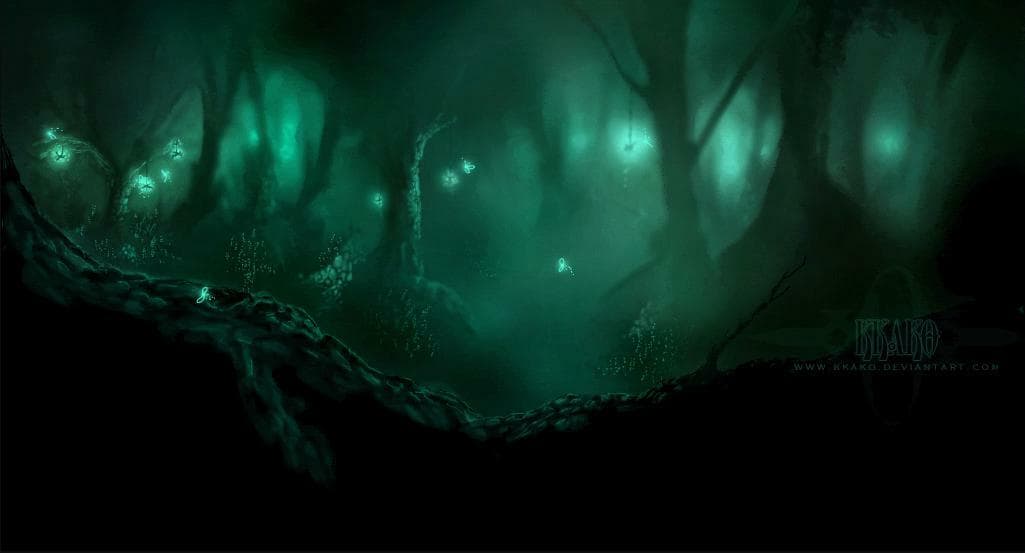 In the Unknown Forest