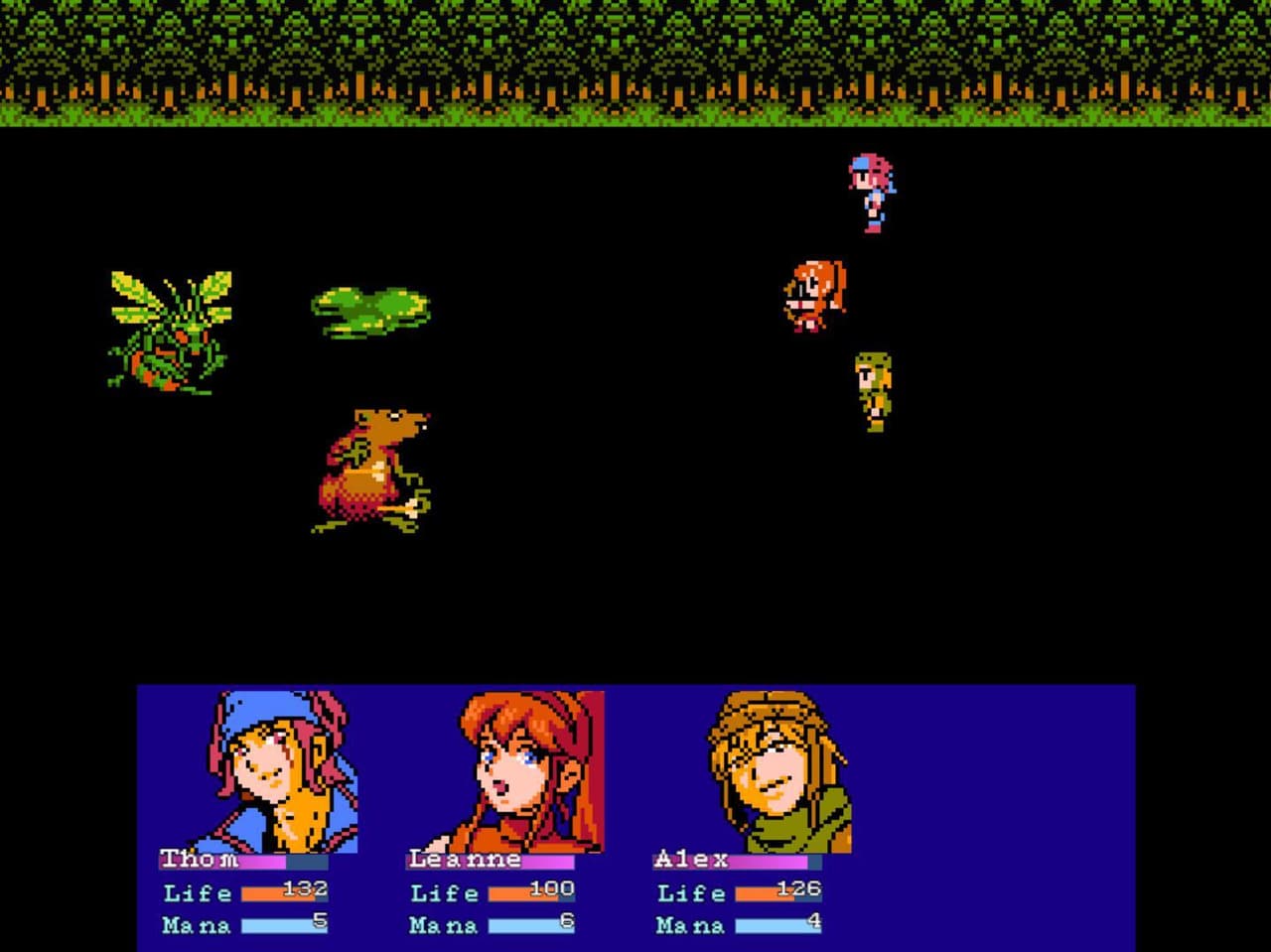 Mystic Chronicles: Dawn screenshot 4