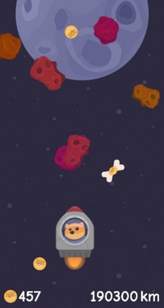 T-minus DOGE screenshot 2