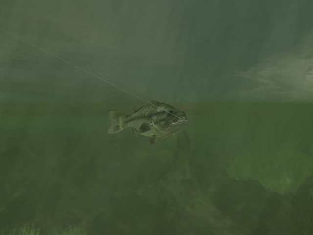 Rapala Pro Fishing screenshot 2