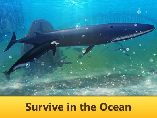 Ocean Whale Simulator: Animal Quest 3D