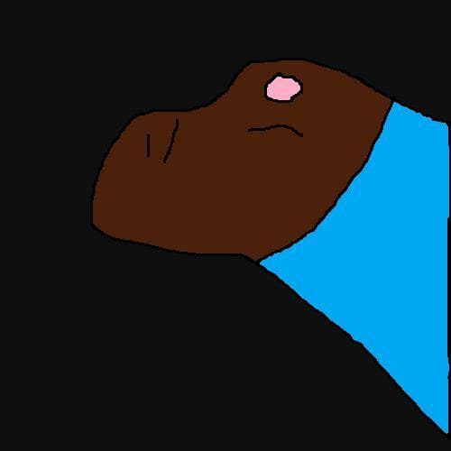 One Night At Capy`s