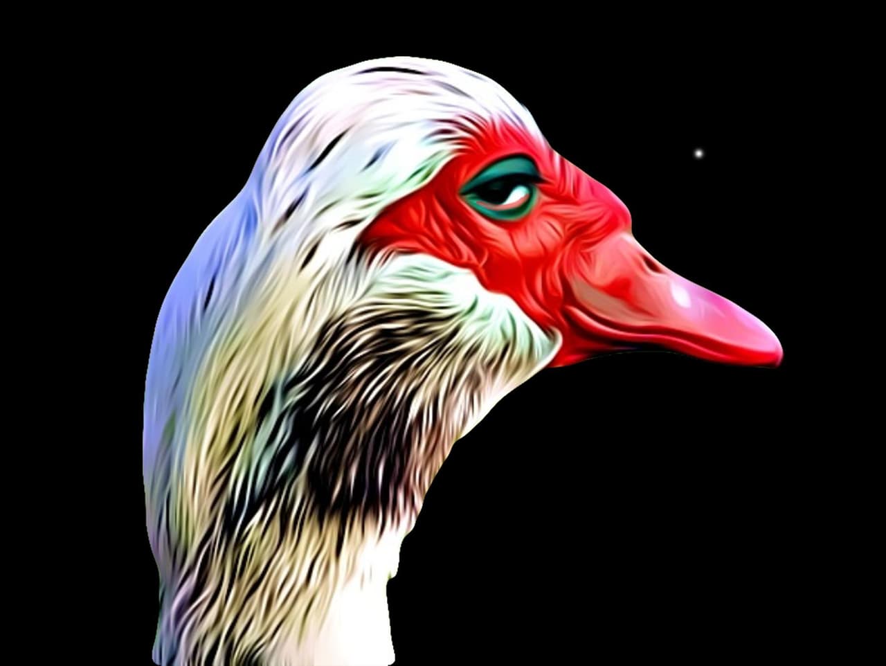 Duck Run (itch)