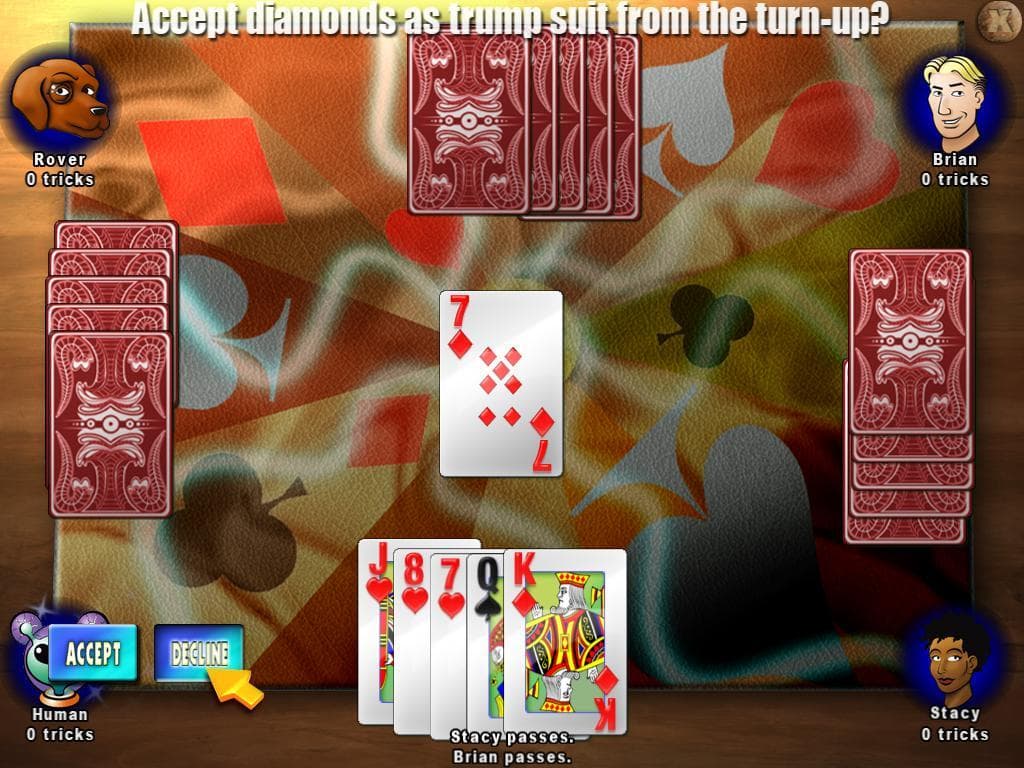 8 Card Gamepack for Raspberry Pi screenshot 6