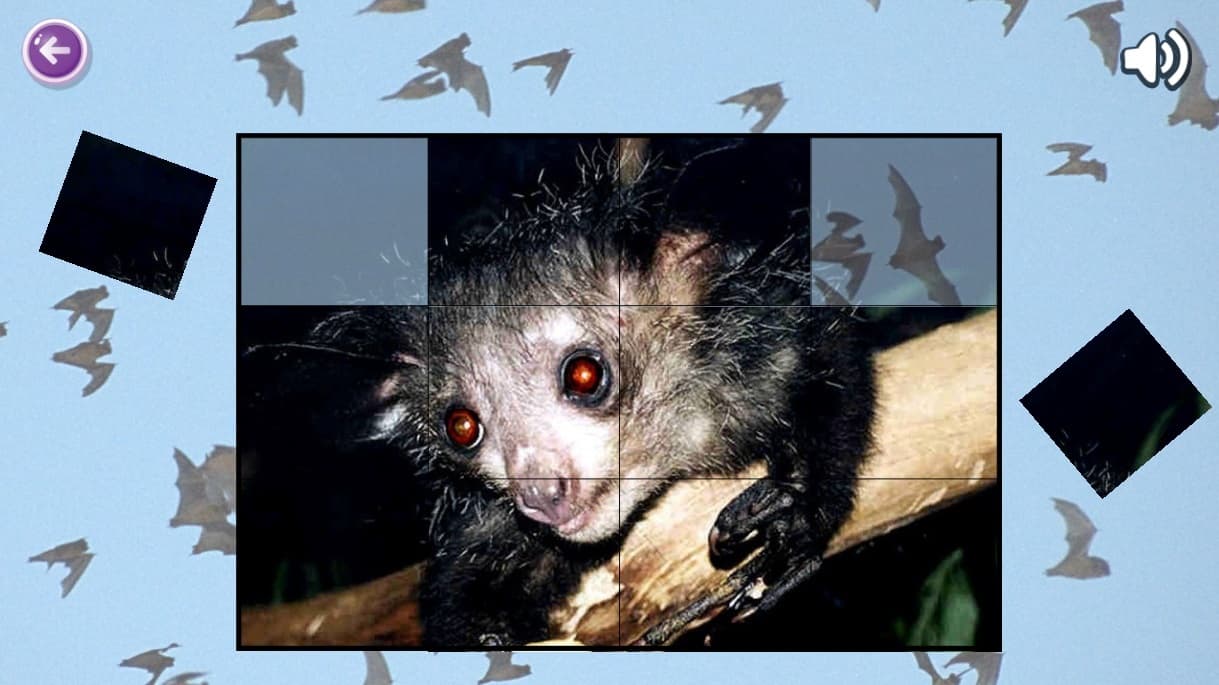 Mouse Puzzles