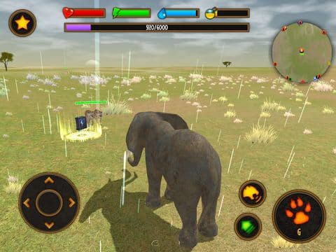 Clan Of Elephant