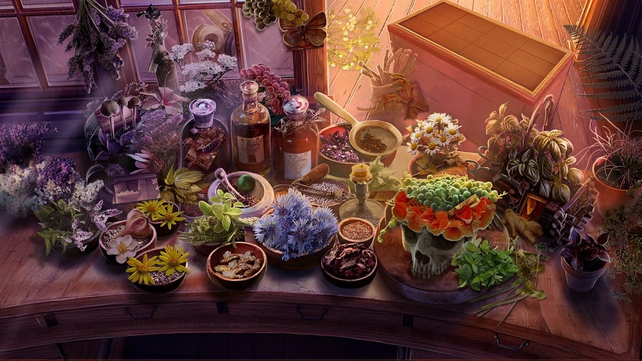 Lost Grimoires 3: The Forgotten Well (Xbox Version) screenshot 3