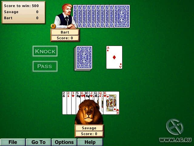 Hoyle Card Games 5 screenshot 5