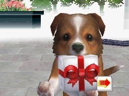 Nintendogs: Labrador & Friends screenshot 3