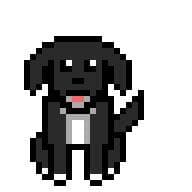 Bouncing Dog