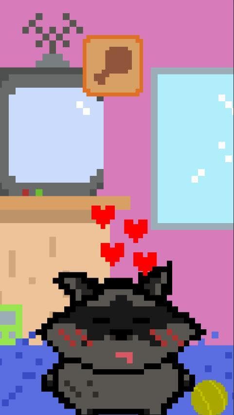 Raccoon Pets screenshot 4