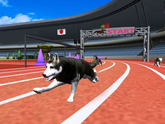 Crazy Racing Dog Simulator screenshot 4