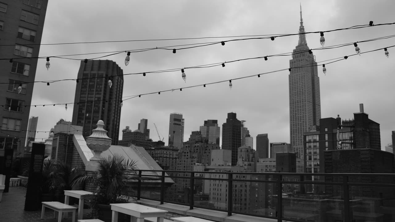 10 Gnomes in New York screenshot 2