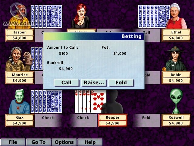 Hoyle Card Games screenshot 3