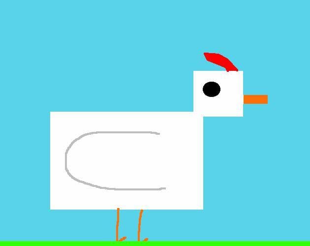 A chickens adventure