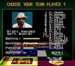 Super International Cricket screenshot 5