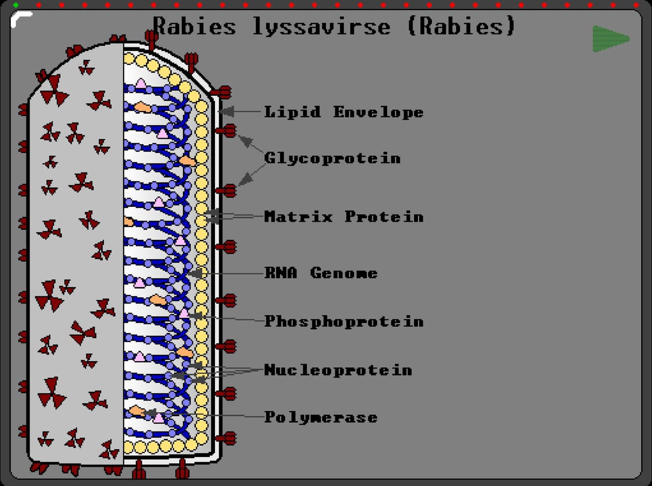 Project 8-bit Rabies screenshot 2