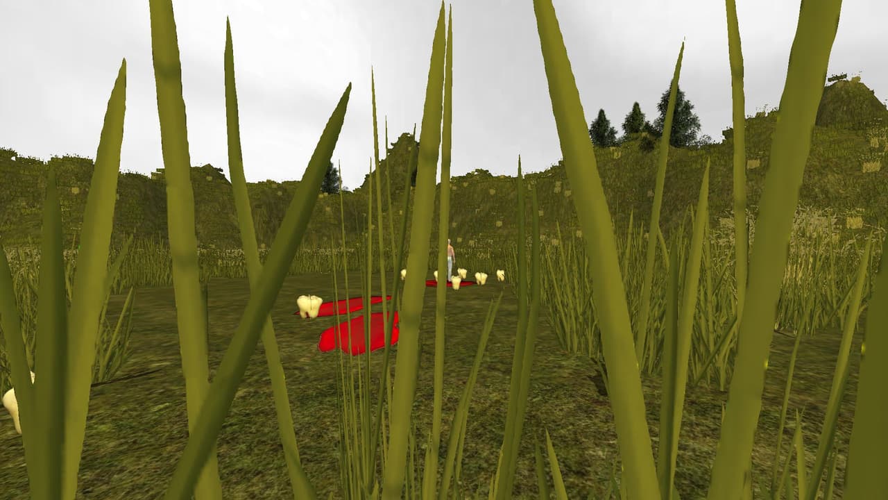 TeethBloom screenshot 3
