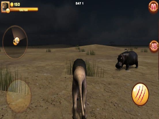 Wild Lion Adventures