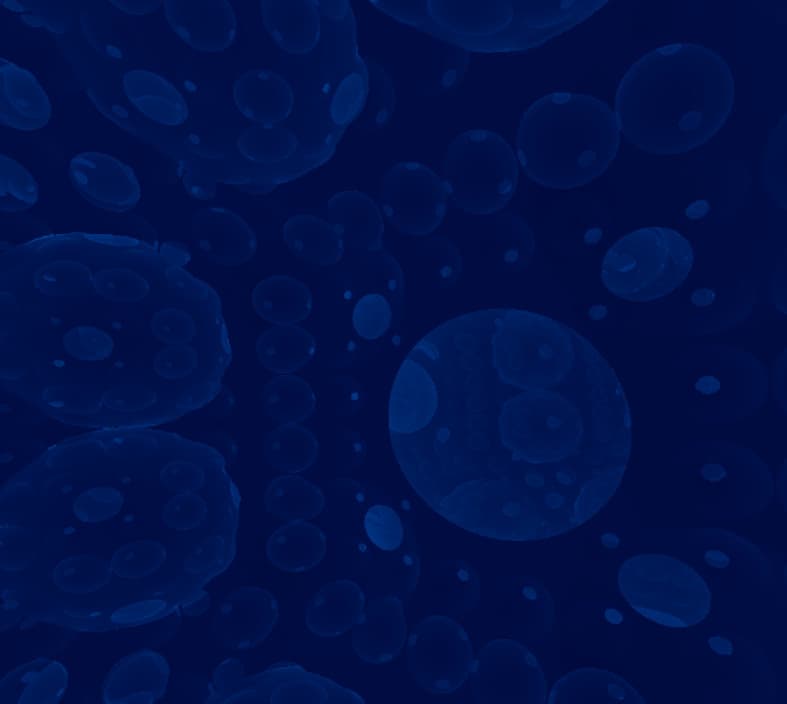 VR Fractals screenshot 6