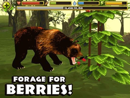 Wildlife Simulator: Bear screenshot 5