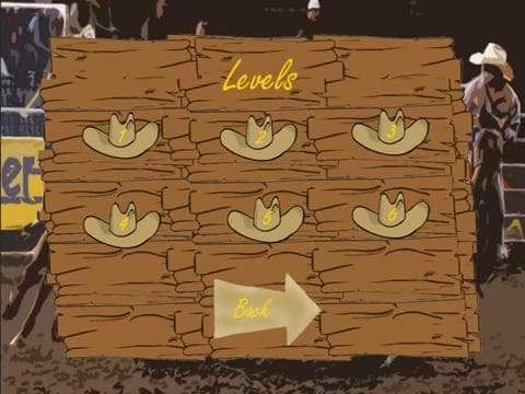 Cowboy Team Roping screenshot 4