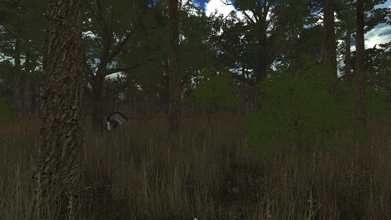 Wild Turkey Hunter VR screenshot 4