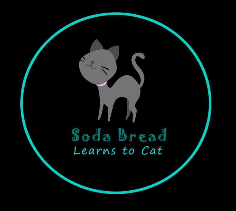 Soda Bread Learns to Cat
