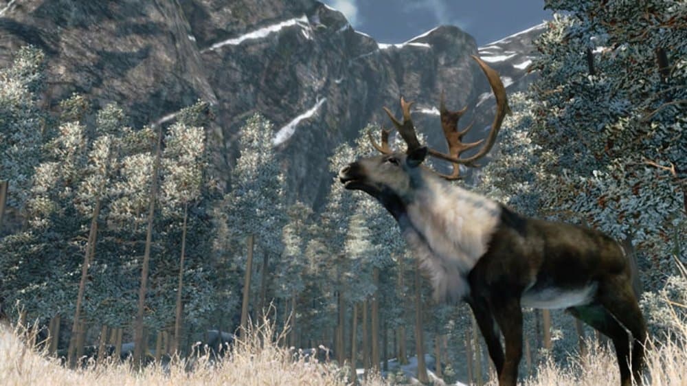 Outdoor Adventures screenshot 3