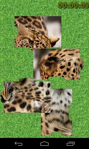 Wild Animal Puzzle Free screenshot 4