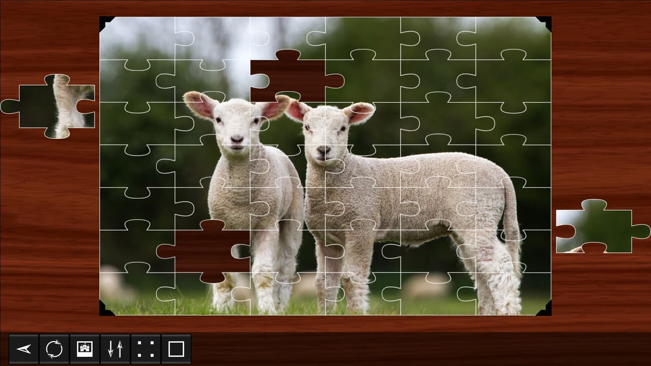 Jigsaw Puzzle World screenshot 2